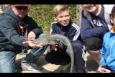 TomsCreek2015-10