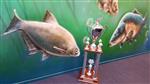 Federatieve Clubkampioenschappen