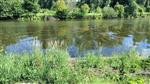 Problemen door waterplantengroei